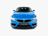 Front Splitter compatible with BMW Z4 M-Pack E89 Facelift