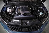 Seat Ibiza Mk5 1.0 TSI ARMASPEED Carbon Fiber Cold Air Intake