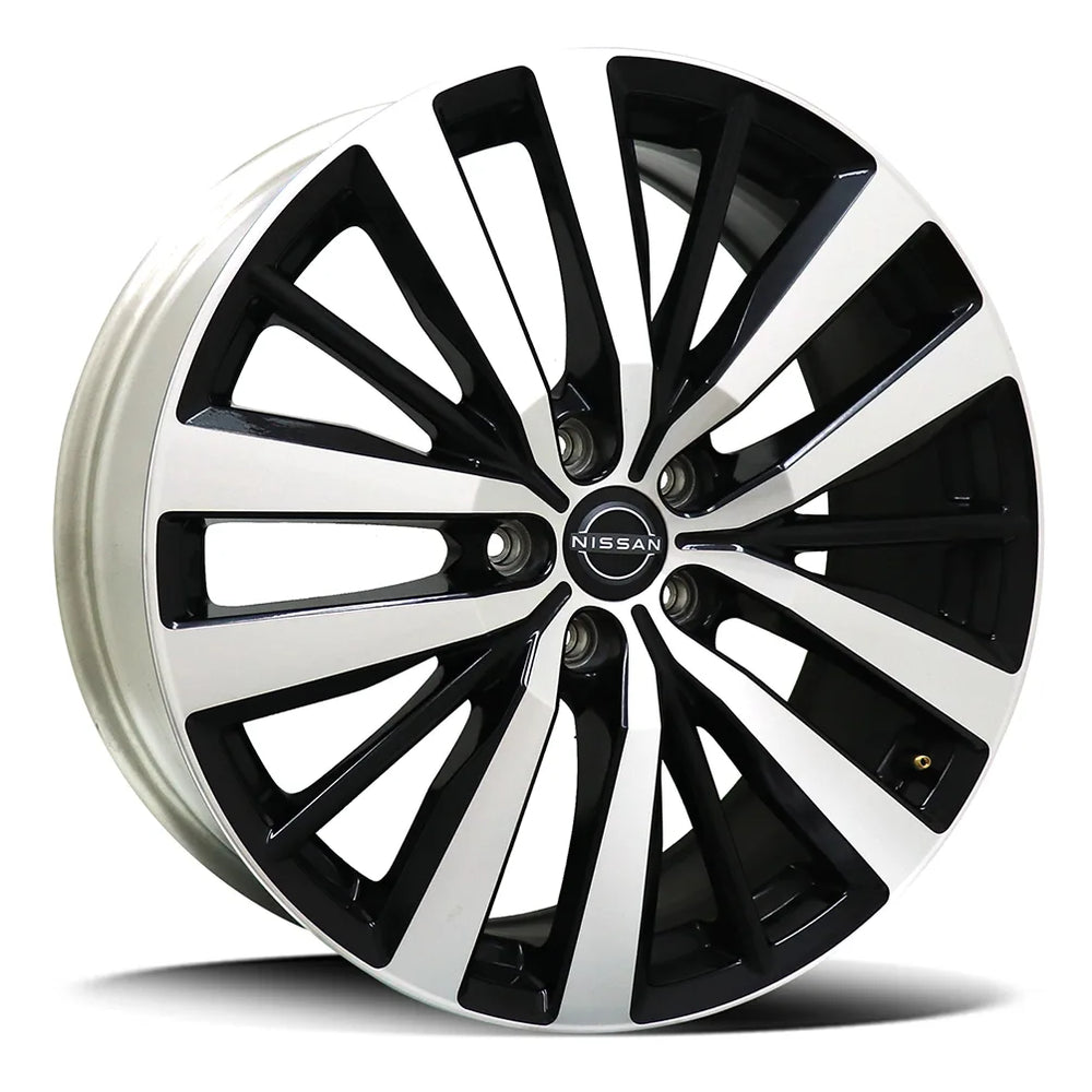 OE CARBON PATHFINDER