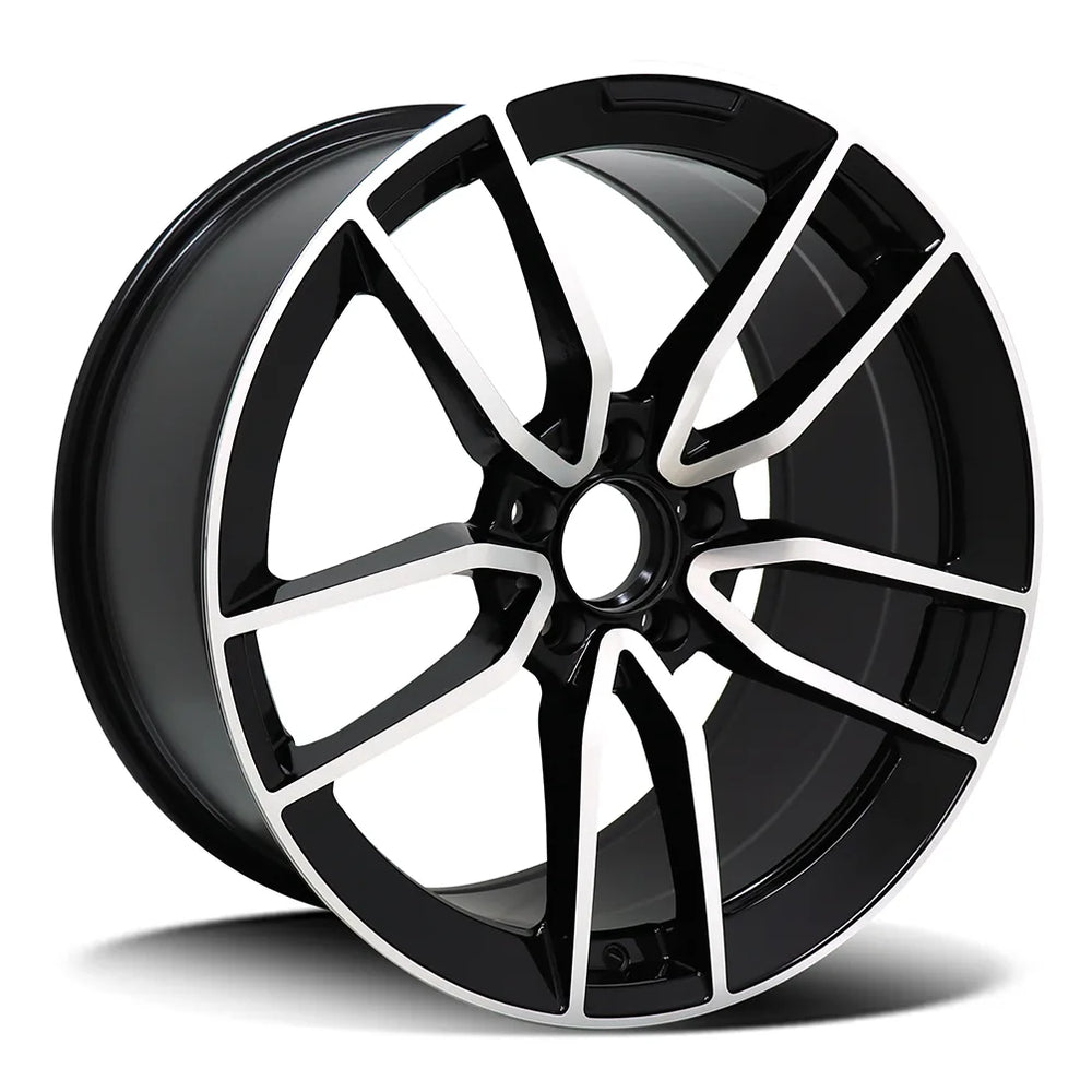 OE CARBON 6660/6680 | RSV
