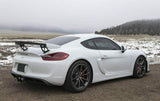 Fabspeed Porsche 981 Cayman GT4 Spyder Valvetronic Exhaust System